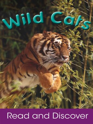 cover image of Wild Cats